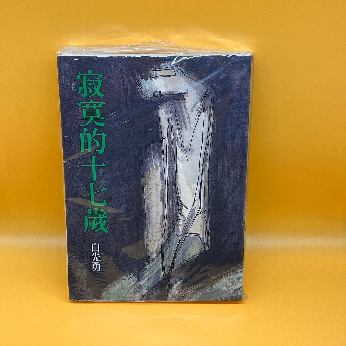 寂寞的十七歲(增訂二版)
