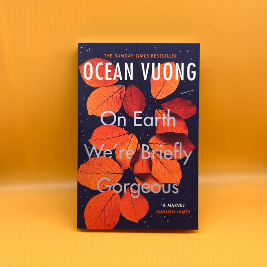 On Earth We're Briefly Gorgeous
