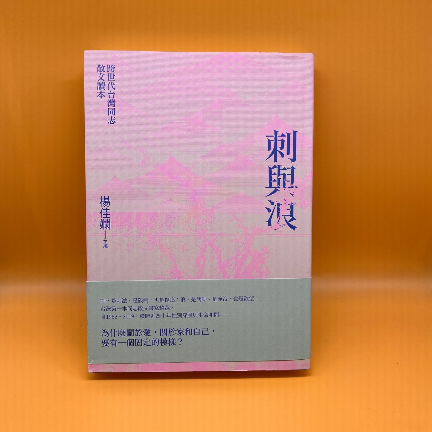 刺與浪：跨世代台灣同志散文讀本 (新版)