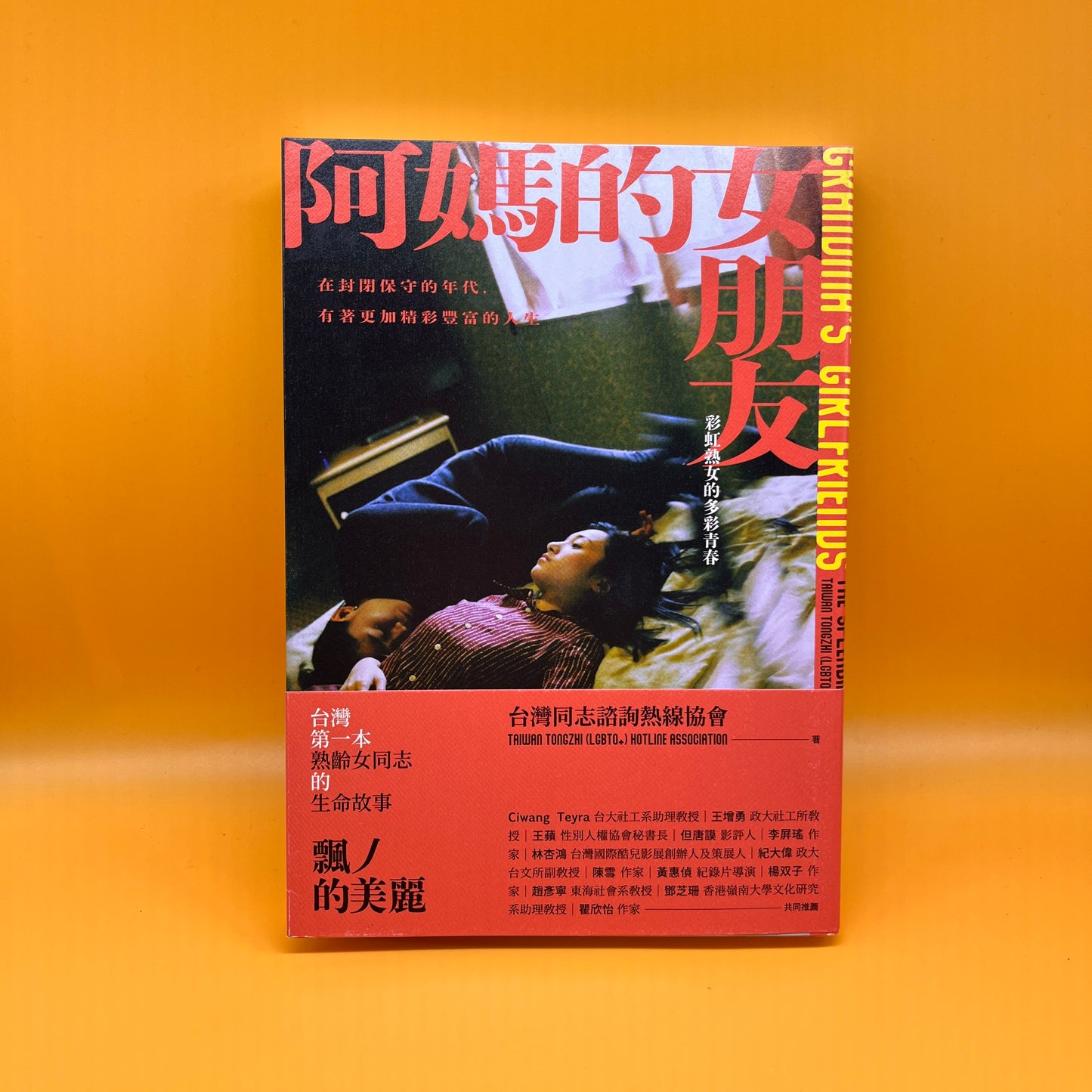 阿媽的女朋友：彩虹熟女的多彩青春