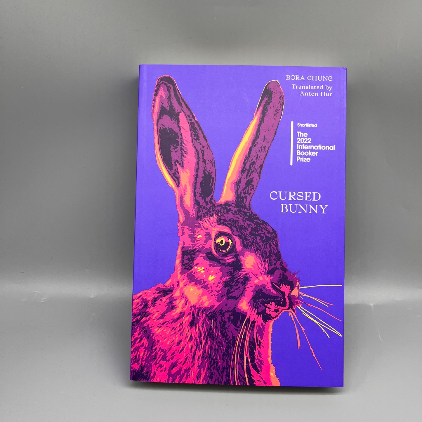 Cursed Bunny